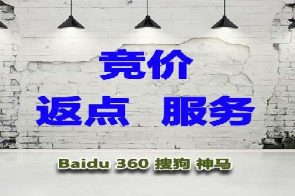 某某sem代运营公司：精准投放的背后策略